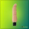 Real Feel Silicone Fun Vibrator FV-015