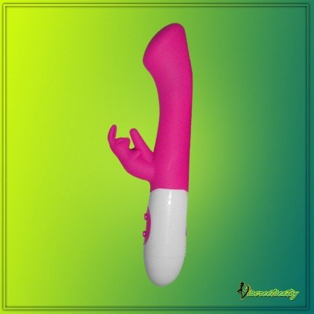 10 Function Dual Rabbit Vibrators RV-014