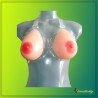 Silicone Breast 550 gms/pair with Transperant Bra SBP-001