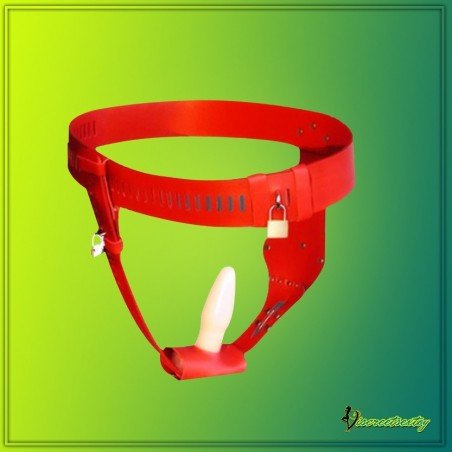 Chastity Lock Device for Women BDSM-002